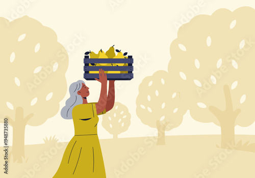 A woman harvests pears from a tree, carrying a crate of fruit. A serene autumn scene with trees and a bright, sunny sky. Ideal for harvest, agriculture, and lifestyle themes.