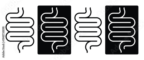 Stylized Iconography of Human Intestines in Black and White