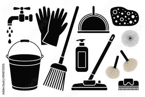 Collection of Cleaning Tools and Supplies