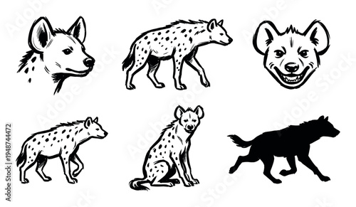 Collection of hand-drawn hyena illustrations showcasing various poses and expressions, including full body, headshots, and a silhouette.