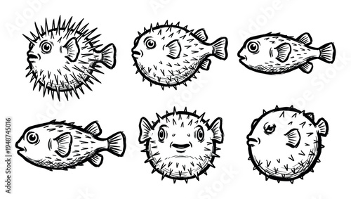 Set of six hand-drawn pufferfish illustrations showcases the unique spiky appearance of these fascinating marine creatures.