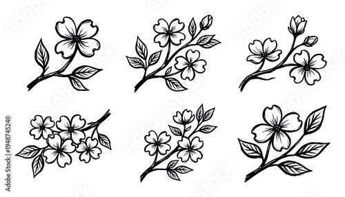 Artistic hand-drawn illustrations of blooming branches featuring delicate flowers, leaves, and buds in a sketch style.