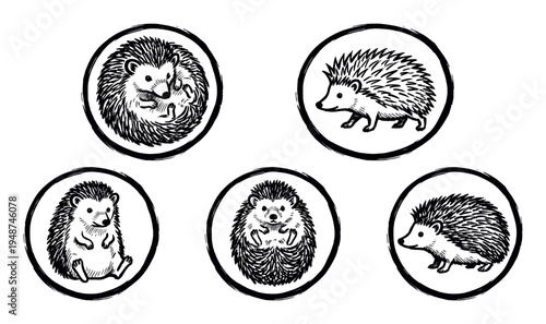 Charming collection of five hand-drawn circular illustrations featuring adorable hedgehogs in various playful and natural poses.