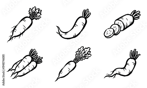 Collection of hand-drawn black and white radish illustrations, depicting whole and sliced root vegetables with leafy tops.