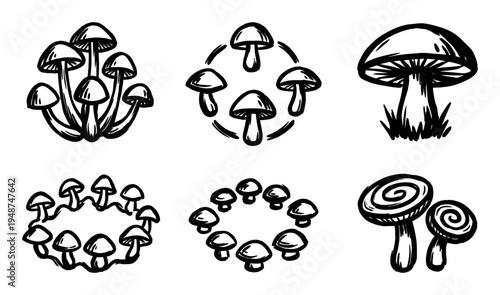 Diverse set of hand-drawn mushroom illustrations depicting various fungi in different arrangements and sizes.