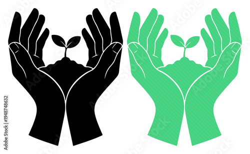 Gentle hands cradle new life, nurturing a small plant growing from soil.
