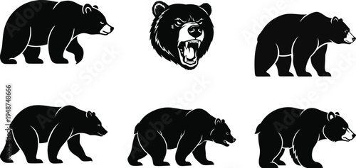 Bear silhouettes set with walking and roaring bear head wildlife vector collection