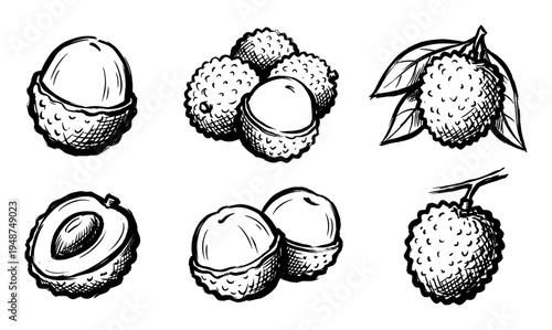 Hand-drawn sketch illustrations of fresh lychee fruit, showing whole, peeled, and branched varieties.