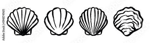 Collection of four unique hand-drawn seashell illustrations with a distinct brush stroke style.