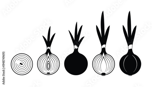 Stylized Black and White of Onions in Various Stages of Cut and Growth
