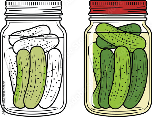 Pickle jar illustration progression showing artistic stages from partially colored sketch to fully detailed vector design with brine and vegetables