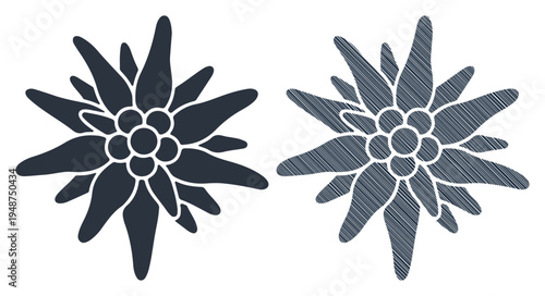 Two stylized edelweiss flowers rendered in a graphic, illustrative style.