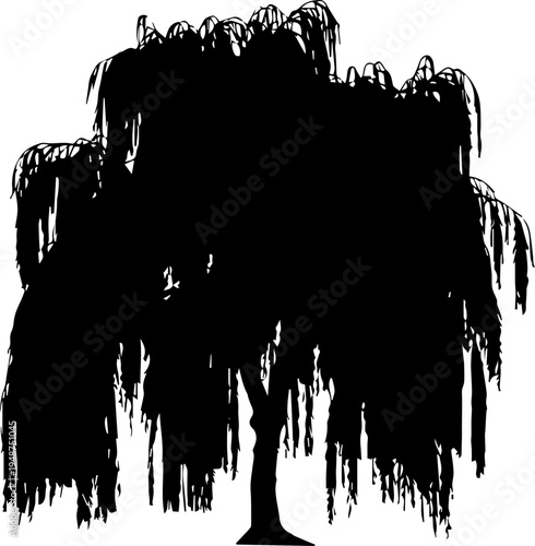 Black Silhouette of a Large Weeping Willow Tree with Long Drooping Branches Isolated on White Background Vector Illustration