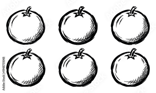 Six hand-drawn, rustic illustrations of whole oranges with stems, depicted in a rough sketch style.