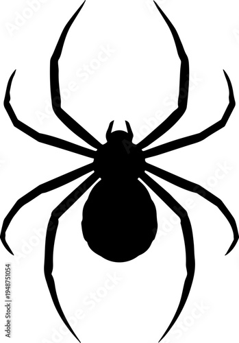 Black Spider Silhouette Vector Icon Isolated on White Background