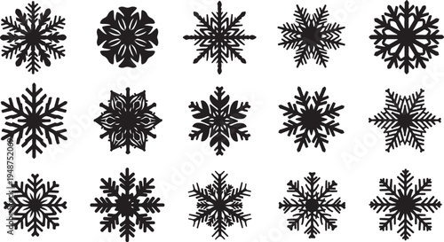 Collection of unique black snowflakes on white background illustration