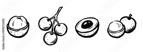 Hand-drawn style illustrations depict a variety of fresh tropical lychee fruits, including whole and halved pieces.