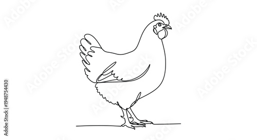 Single Line Drawing of a Chicken Standing Firmly
