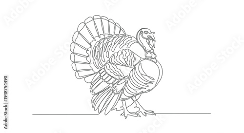 Majestic Turkey with Displayed Feathers, Line Drawing