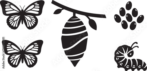 Life Cycle of a Butterfly Silhouette Illustration Set Black