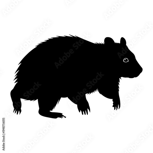 Silhouette of a Black Bear Walking Isolated on White Background.