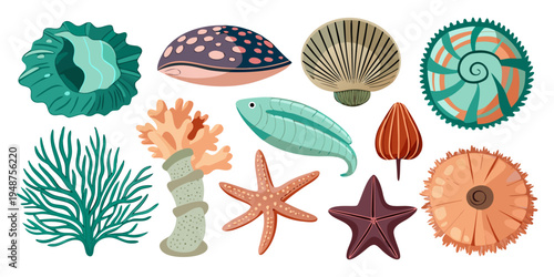 Seamless Vector Pattern of Sea Shells and Sea Creatures with Starfish and Natural Decorative Elements.