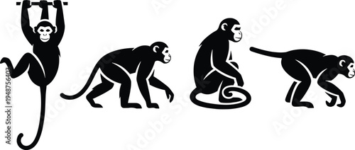 Black and white silhouette vector set featuring monkeys in various poses including hanging from a branch, walking on all fours, and sitting on white background.