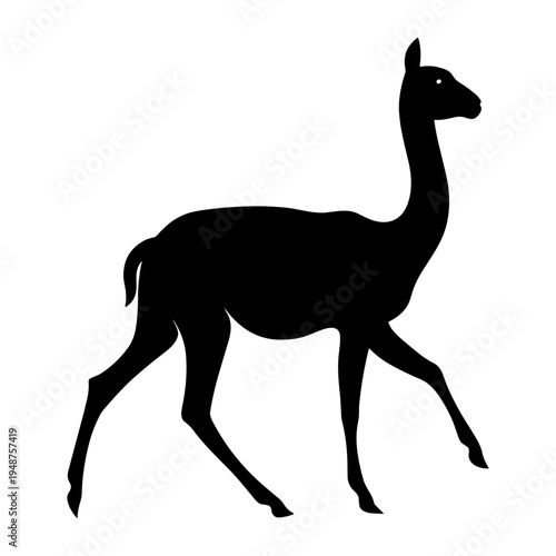Silhouette of a Guanaco Walking on a White Background.