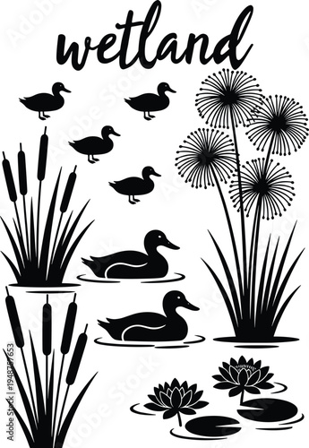 Set of wetland silhouettes featuring ducks swimming near cattails and water lily pads with papyrus plants and marsh vegetation icons for nature conservation designs
