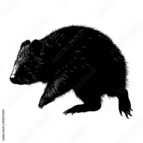 Black Bear Silhouette Walking in Profile.