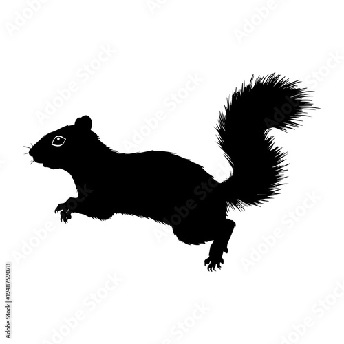 Silhouette of a Running Squirrel in Mid-Leap.