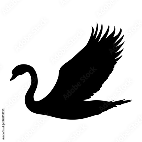 Silhouette of a black swan in flight with wings spread wide.