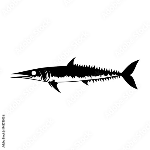 Silhouette of a Barracuda Fish.