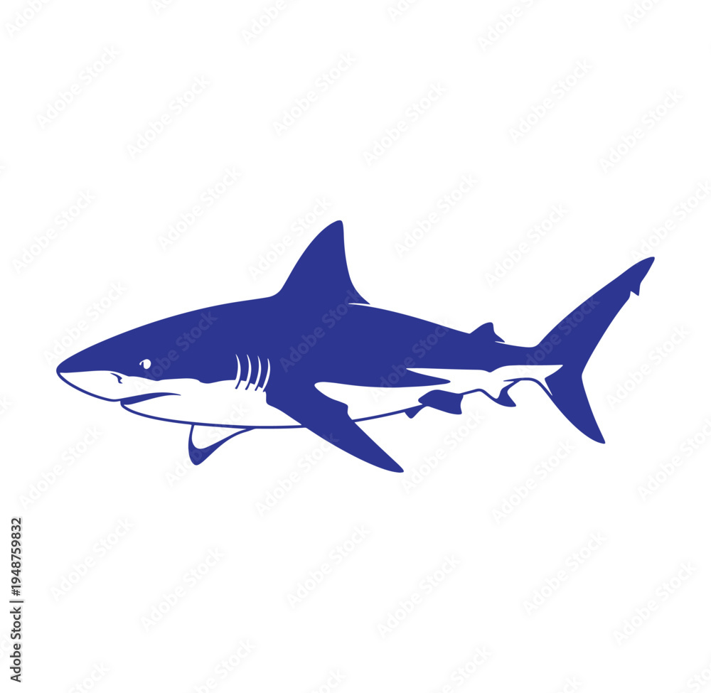 Fototapeta premium blue shark illustration side view swimming ocean predator fish