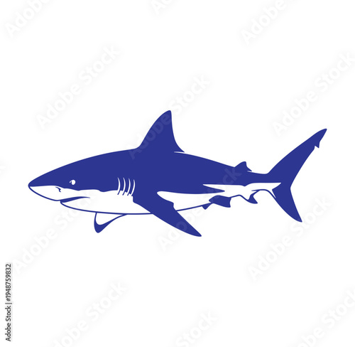 blue shark illustration side view swimming ocean predator fish