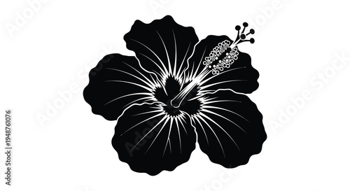 A striking black hibiscus flower illustration with detailed petals and a contrasting center silhouette high quality