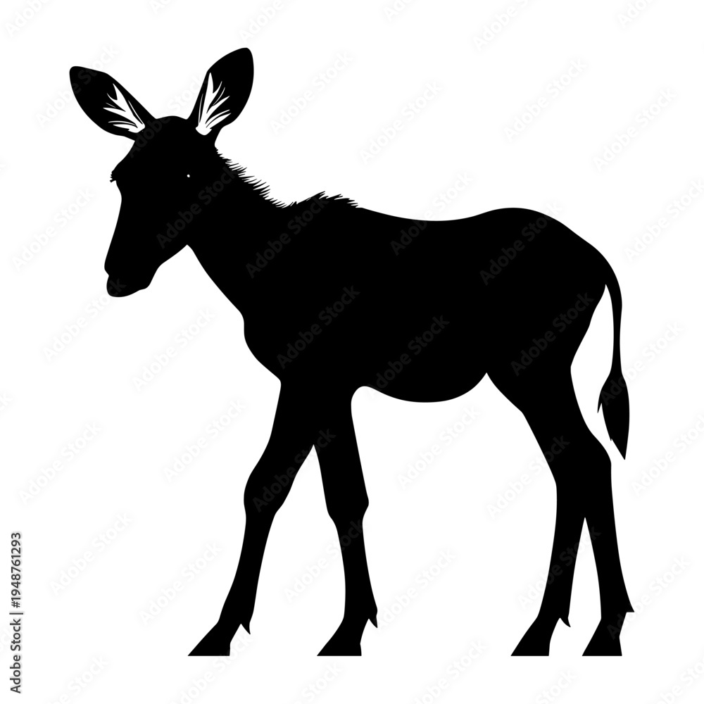 Fototapeta premium Silhouette of a Young Antelope Standing Still.