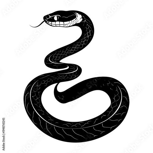 Stylized Black Snake Illustration with White Details.