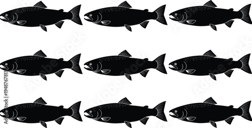 salmon fish silhouette collection, freshwater fishing species set, black vector seafood animal illustration, isolated aquatic wildlife on white background