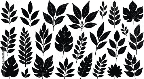 Silhouettes of diverse leaf designs featuring botanical foliage, vein patterns, natural shapes, plant identification, ecology, greenery, vector illustration artwork design