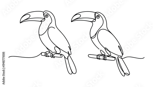One continuous line illustration of an Toucans bird , isolated on white background.
