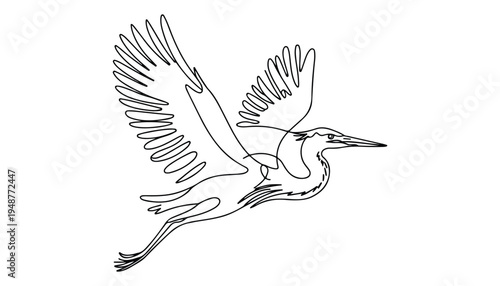 One continuous line illustration of an Herons bird , isolated on white background.