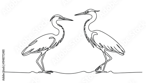 One continuous line illustration of an Herons bird , isolated on white background.