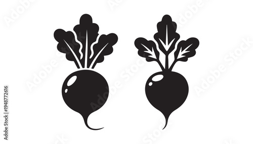 black color Radish set of silhouette vector illustration, solid white background