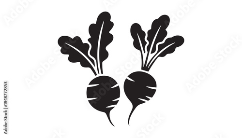 black color Radish set of silhouette vector illustration, solid white background
