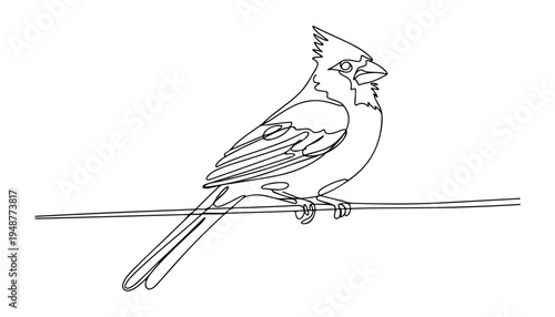 One continuous line illustration of an blue jay bird , isolated on white background.