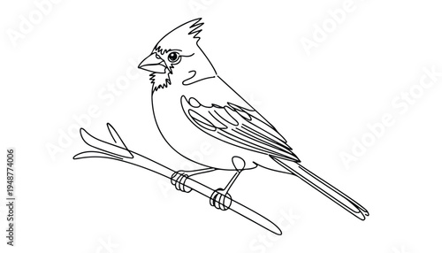One continuous line illustration of an blue jay bird , isolated on white background.
