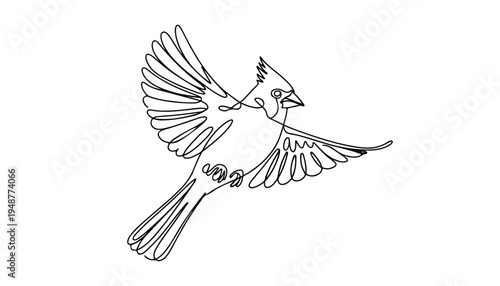 One continuous line illustration of an blue jay bird , isolated on white background.