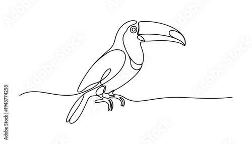 One continuous line illustration of an toucan bird , isolated on white background.