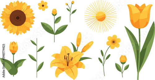 Yellow spring flowers botanical vector set with sunflower tulip lily and small floral elements isolated for bright nature themed design